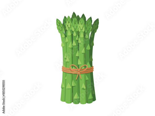 Fresh green asparagus bunch tied with twine