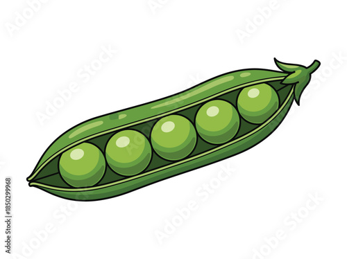 Green Peas in Pod Illustration