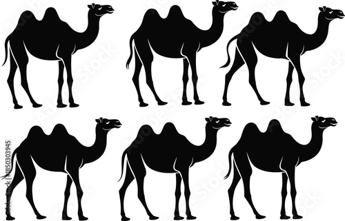 Camel silhouette illustration, black and white drawing, Bactrian camels, two humps, desert animal, side profile, walking pose, art