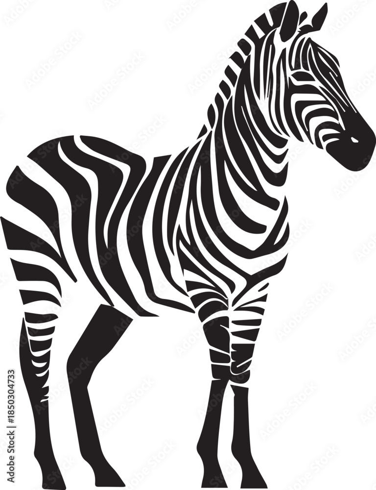 Fototapeta premium Zebra isolated on white background