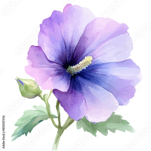 Hollyhock Flower, illustration watercolor with dynamic strokes and balanced color harmony, isolated on a white background.