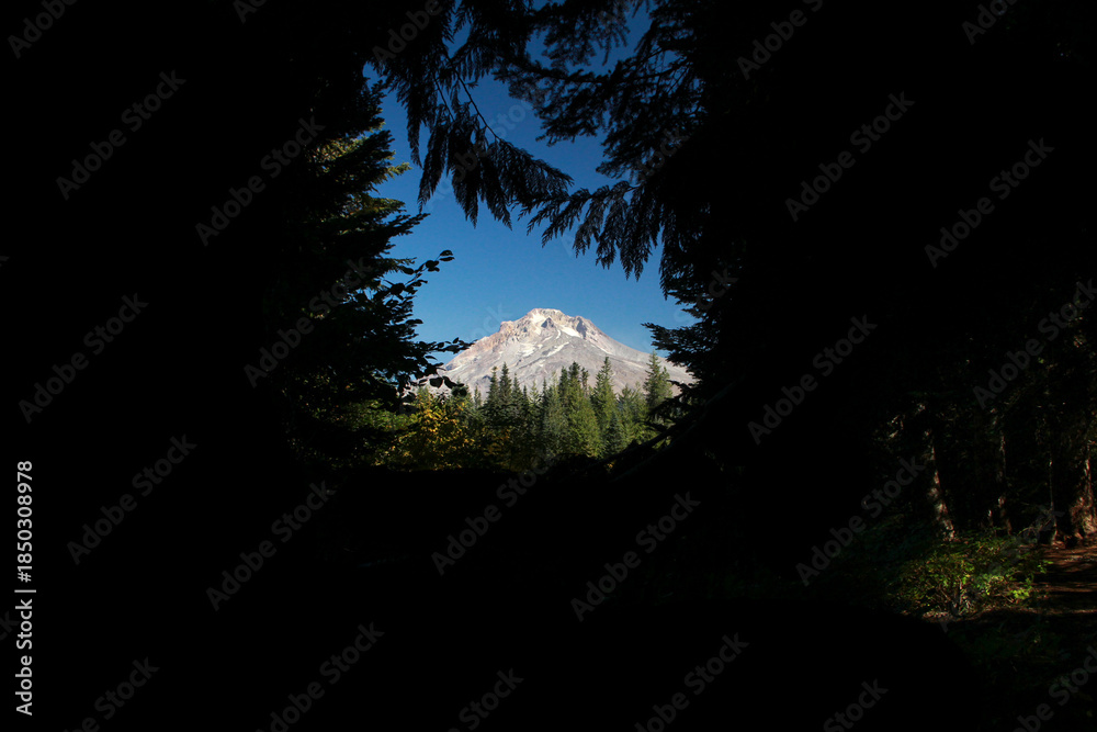 Fototapeta premium Pinpoint