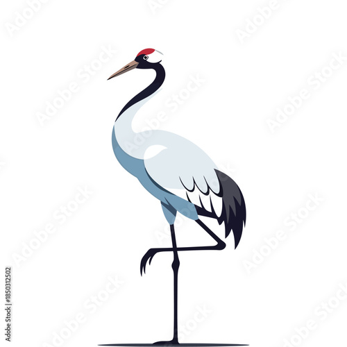 Elegant white naped crane illustration on black background, standing poised on one leg in vector format