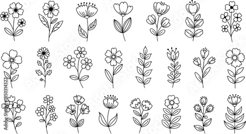 Collection of various hand drawn flowers and leaves