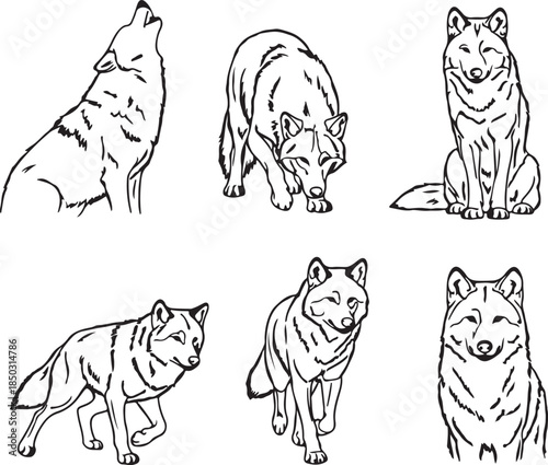A collection of black and white line art illustrations of wolves in various poses
