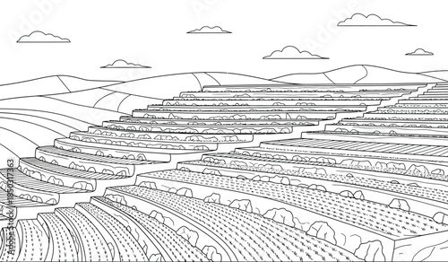 a detailed black and white illustration depicts terraced fields stretching into the distance under a clear sky with fluffy clouds high quality professional