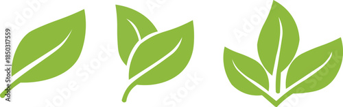 green eco leaf icons set with natural vein patterns for organic environment and sustainability design elements isolated on white background.