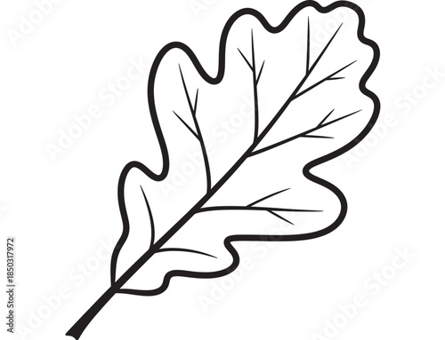 Detailed oak leaf illustration black outline design on transparent background silhouette