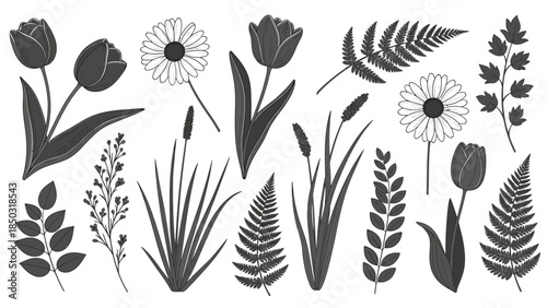Grayscale botanical silhouette collection: tulips, daisies, ferns and grasses for elegant floral design, patterns, and stock illustrations