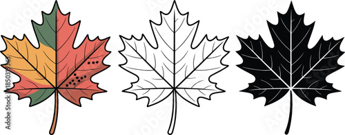 Maple leaf silhouette & Outline and illustration set isolated on transparent background