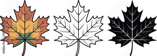 Maple leaf silhouette & Outline and illustration set isolated on transparent background