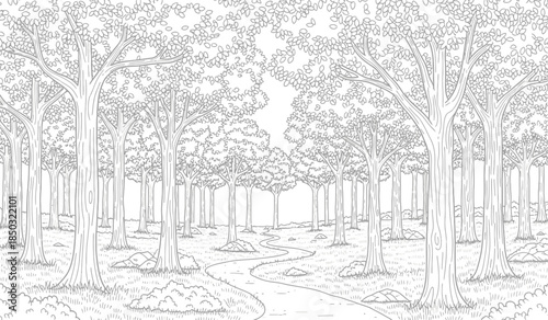a detailed black and white illustration depicts a dense forest with tall trees winding paths and textured foliage creating a serene woodland scene