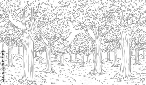 a detailed black and white illustration depicts a lush forest scene with numerous trees and a winding pathway leading deeper into the woods