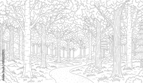 a detailed black and white illustration depicts a winding pathway through a dense forest of tall trees with varied foliage and textures