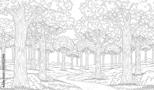 a detailed black and white illustration depicts a serene forest landscape with tall trees a winding path and lush foliage creating a peaceful scene