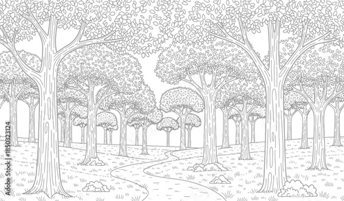a detailed black and white illustration depicts a dense forest scene with tall trees a winding pathway and grassy areas creating a peaceful atmosphere