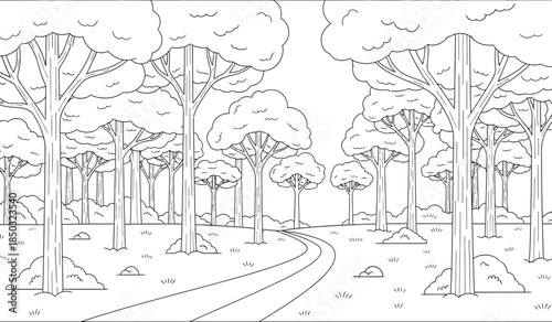 a detailed black and white line drawing depicts a winding path through a dense forest of tall trees with foliage high quality professional