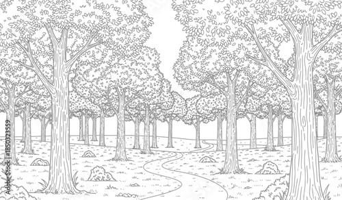 a detailed black and white illustration depicts a dense forest with numerous trees and a winding pathway leading into the depths creating a tranquil scene
