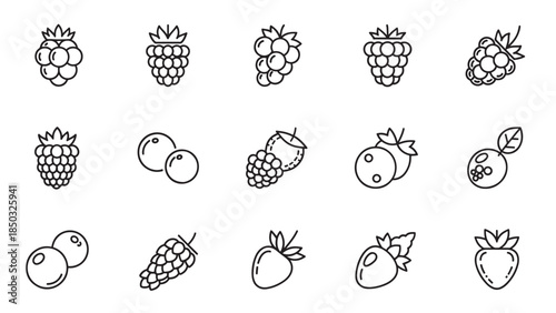 Array of black and white line art illustrations showcasing various berries and grapes on a solid white background