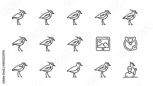 Array of line icons featuring birds, a tablet, a clock, and a person with a bird