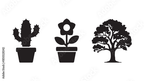 Cactus, Flower, and Tree Silhouettes with natural lighting and detailed texture for commercial background