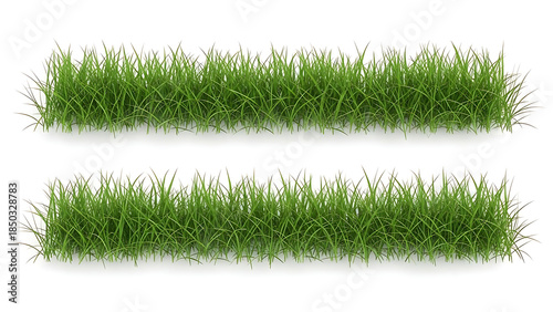 Two rows of lush green grass