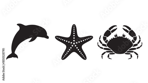 Coastal Wildlife Silhouettes with natural lighting and detailed texture for commercial background