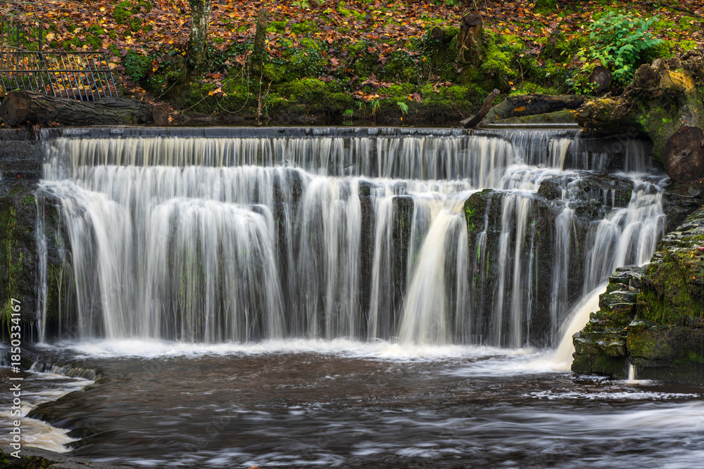 Fototapeta premium waterfall in the forest