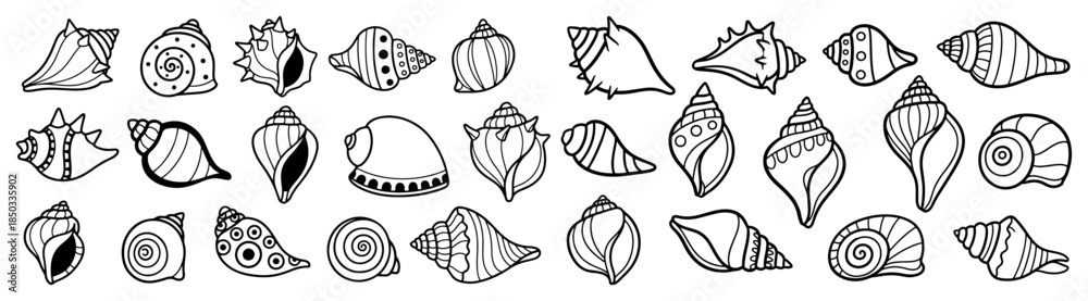 Obraz premium Seashell doodle icon set Hand drawn sea shell collection for summer design
