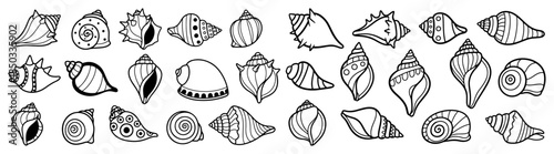 Seashell doodle icon set Hand drawn sea shell collection for summer design
