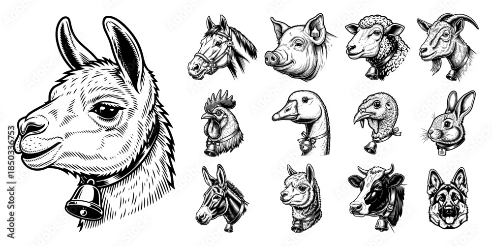 Fototapeta premium Set of farm and domestic animal head vector sketch icons hand drawn vintage engraving illustration collection