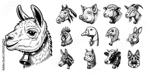 Set of farm and domestic animal head vector sketch icons hand drawn vintage engraving illustration collection