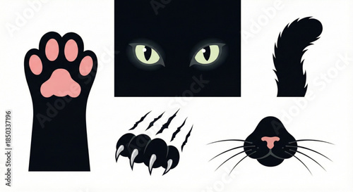 Collection of black cat icons and graphics paw, eyes, claws, nose, and tail