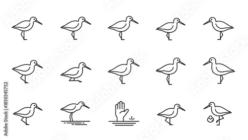 Graphic icons in a grid. Birds with thin lines. One row contains a hand. Icons are minimalistic and monochrome