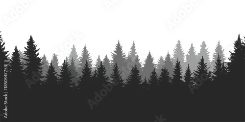 Vector illustration of beautiful tree silhouettes in a foggy mountain forest landscape under a blue winter sky with snow and pine woods