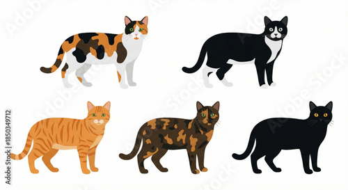 A Collection of Adorable Domestic Cat Breeds with Diverse Coat Patterns and Colors