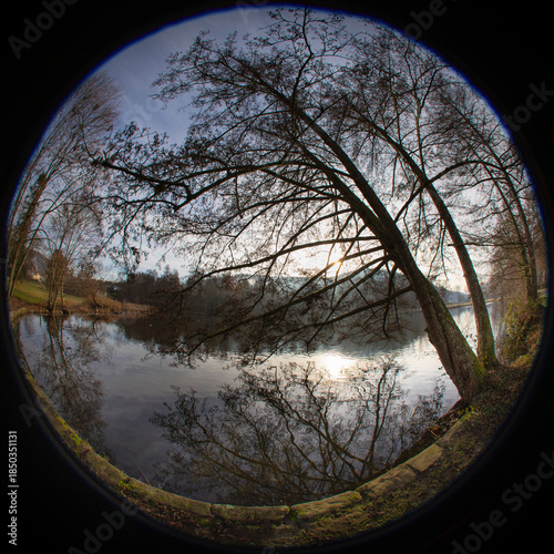 Trees on the lakeshore in deep sunlight,  in a park shot with a fisheye circular lens 180 degrees creating a circle image