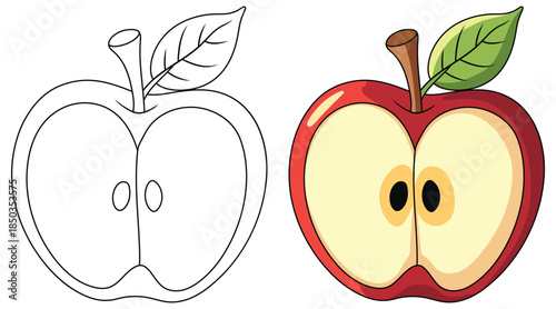 Apple half vector illustration showing a bright red fruit with a smooth cut surface visible seeds green leaf and stem created in a clean minimal style for food themed designs