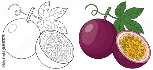 Passion fruit vector illustration featuring a whole purple passionfruit with leaves and a sliced half showing bright yellow pulp and seeds in a clean tropical fruit design