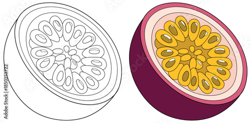 Passion fruit illustration depicting a whole vibrant purple fruit with detailed leaf and tendril elements presented as a clean high quality vector for diverse creative uses