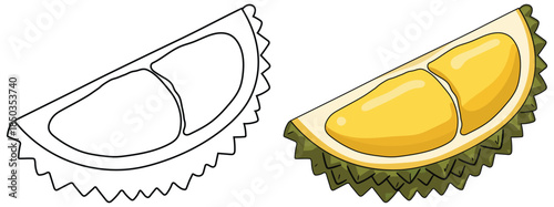 Durian slice illustration showcasing a detailed tropical fruit segment with creamy yellow flesh in a clean vibrant vector style ideal for food graphics and educational materials