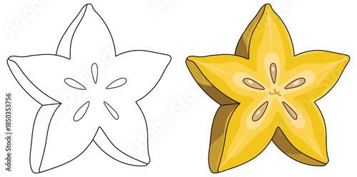 Starfruit slice illustration showing a vibrant yellow carambola cross section with glossy highlights and detailed seeds in a clean tropical vector style ideal for fresh food