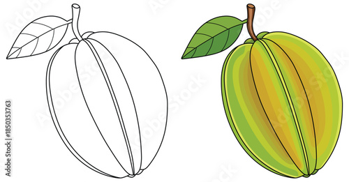 Starfruit illustration showing a whole ripe carambola with smooth yellow and green ridges and a fresh leaf rendered in a clean tropical vector style suitable for food themed designs