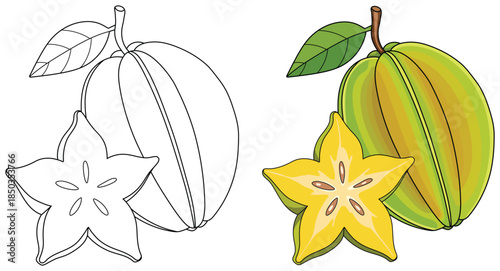 Starfruit illustration showing a whole ripe carambola with vibrant green and yellow ridges alongside a detailed yellow star-shaped slice in a clean tropical vector style ideal for fresh food designs