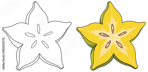 Starfruit slice illustration showing a bright yellow carambola cross section with smooth glossy texture and detailed seeds rendered in a clean tropical vector art style