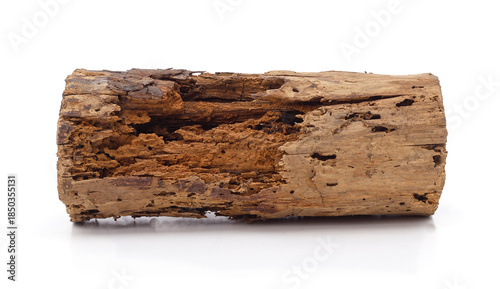 Old decayed log isolated on white background.