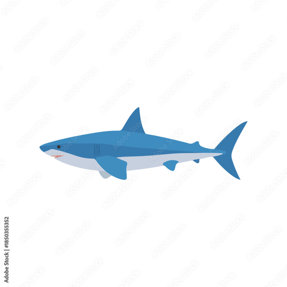 Fototapeta premium Flat Shark Illustration Aquatic Design Element