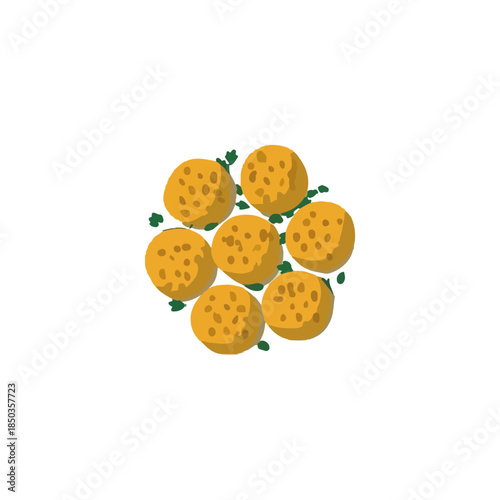 Appetizing Falafel with Greenery, Isolated on White