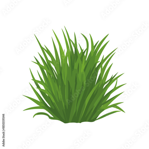 Vibrant Green Grass Clump on White Background, Isolated