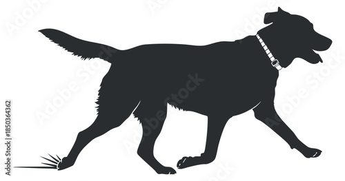 A silhouette of a walking dog with a collar in black vector style, ideal for pet-related designs and branding